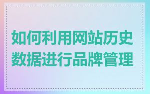 如何利用网站历史数据进行品牌管理