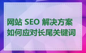 网站 SEO 解决方案如何应对长尾关键词
