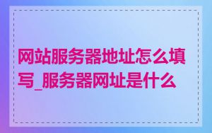 网站服务器地址怎么填写_服务器网址是什么