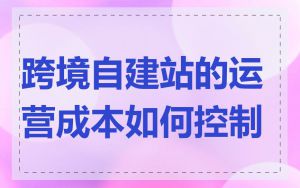 跨境自建站的运营成本如何控制