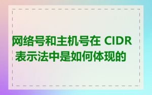 网络号和主机号在 CIDR 表示法中是如何体现的