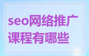 seo网络推广课程有哪些