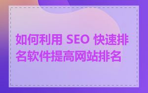 如何利用 SEO 快速排名软件提高网站排名