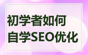 初学者如何自学SEO优化