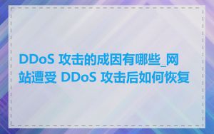 DDoS 攻击的成因有哪些_网站遭受 DDoS 攻击后如何恢复