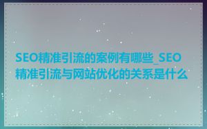 SEO精准引流的案例有哪些_SEO精准引流与网站优化的关系是什么