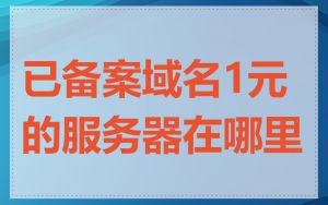 已备案域名1元的服务器在哪里