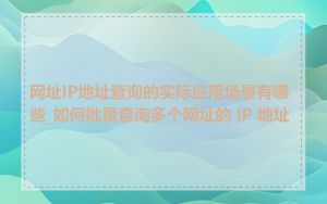 网址IP地址查询的实际应用场景有哪些_如何批量查询多个网址的 IP 地址