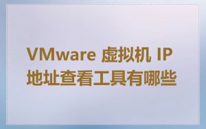VMware 虚拟机 IP 地址查看工具有哪些