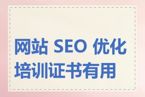 网站 SEO 优化培训证书有用吗