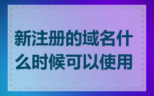 新注册的域名什么时候可以使用