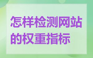 怎样检测网站的权重指标