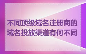 不同顶级域名注册商的域名投放渠道有何不同
