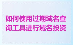 如何使用过期域名查询工具进行域名投资