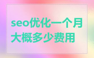 seo优化一个月大概多少费用