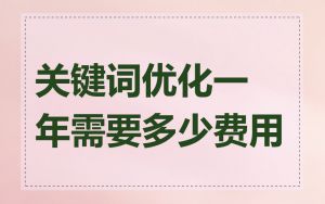 关键词优化一年需要多少费用