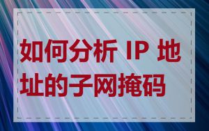 如何分析 IP 地址的子网掩码