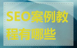 SEO案例教程有哪些