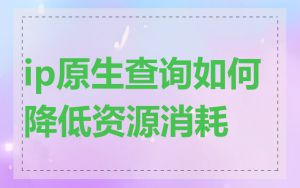 ip原生查询如何降低资源消耗
