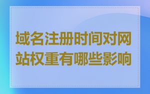 域名注册时间对网站权重有哪些影响