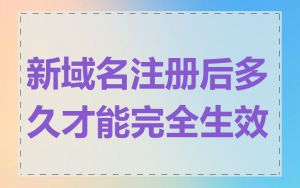 新域名注册后多久才能完全生效