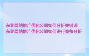 东莞网站推广优化公司如何分析关键词_东莞网站推广优化公司如何进行竞争分析