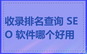收录排名查询 SEO 软件哪个好用