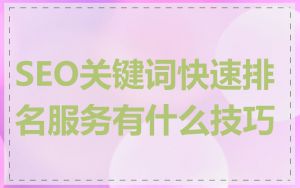 SEO关键词快速排名服务有什么技巧