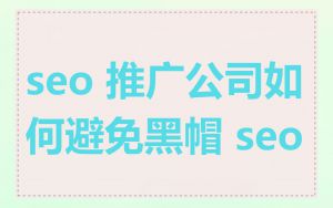 seo 推广公司如何避免黑帽 seo