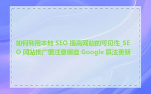 如何利用本地 SEO 提高网站的可见性_SEO 网站推广要注意哪些 Google 算法更新