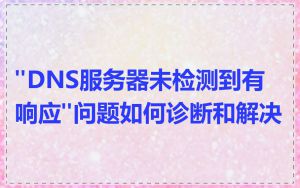 "DNS服务器未检测到有响应"问题如何诊断和解决