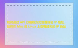 如何通过 API 以编程方式查看域名 IP 地址_如何在 Mac 或 Linux 上查看域名的 IP 地址