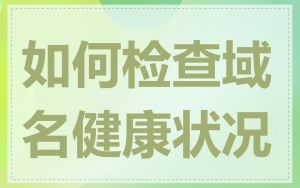 如何检查域名健康状况