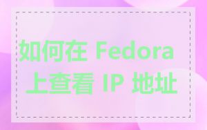 如何在 Fedora 上查看 IP 地址