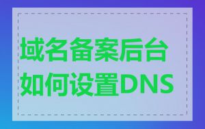 域名备案后台如何设置DNS