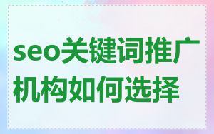 seo关键词推广机构如何选择