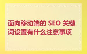 面向移动端的 SEO 关键词设置有什么注意事项