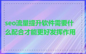 seo流量提升软件需要什么配合才能更好发挥作用