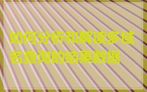 如何分析和解读多域名查询的结果数据