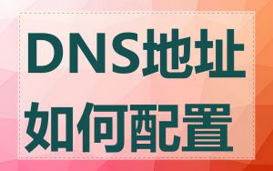 DNS地址如何配置