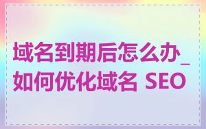 域名到期后怎么办_如何优化域名 SEO