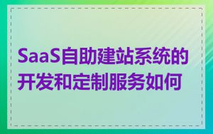 SaaS自助建站系统的开发和定制服务如何