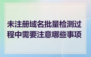 未注册域名批量检测过程中需要注意哪些事项