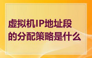 虚拟机IP地址段的分配策略是什么