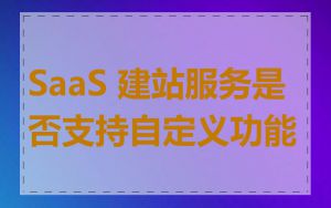 SaaS 建站服务是否支持自定义功能