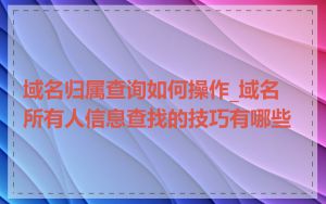 域名归属查询如何操作_域名所有人信息查找的技巧有哪些