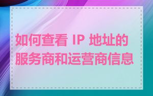 如何查看 IP 地址的服务商和运营商信息