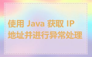 使用 Java 获取 IP 地址并进行异常处理