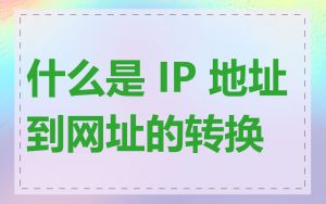 什么是 IP 地址到网址的转换