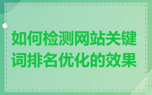 如何检测网站关键词排名优化的效果